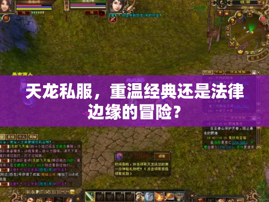 天龙私服，重温经典还是法律边缘的冒险？