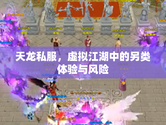 天龙私服，虚拟江湖中的另类体验与风险