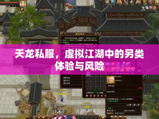 天龙私服，虚拟江湖中的另类体验与风险