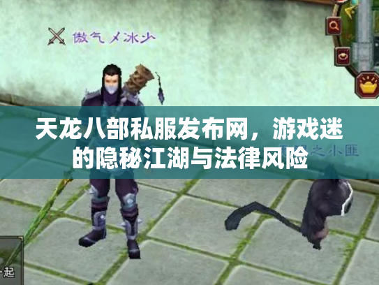 天龙八部私服发布网，游戏迷的隐秘江湖与法律风险