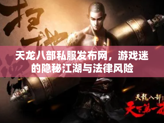 天龙八部私服发布网，游戏迷的隐秘江湖与法律风险