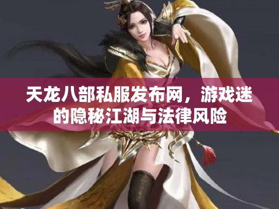 天龙八部私服发布网，游戏迷的隐秘江湖与法律风险