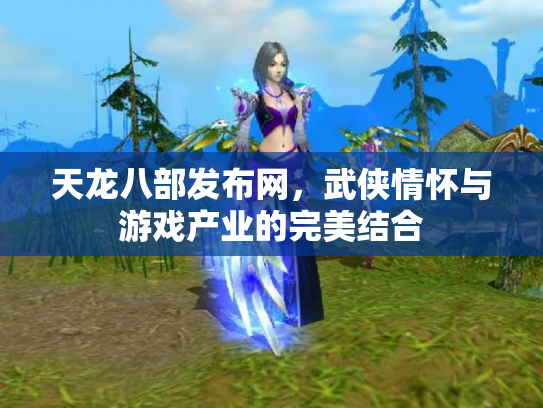 天龙八部发布网，武侠情怀与游戏产业的完美结合