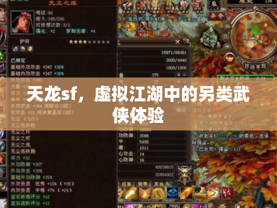天龙sf，虚拟江湖中的另类武侠体验