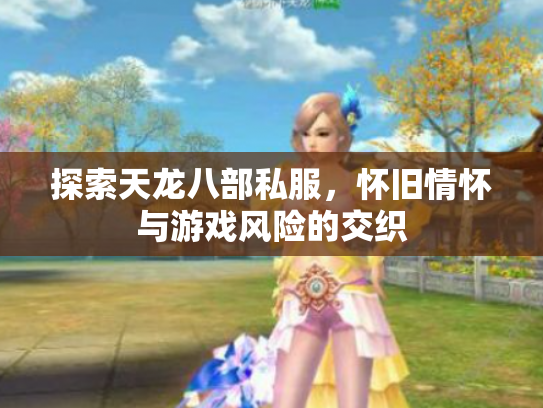 探索天龙八部私服，怀旧情怀与游戏风险的交织