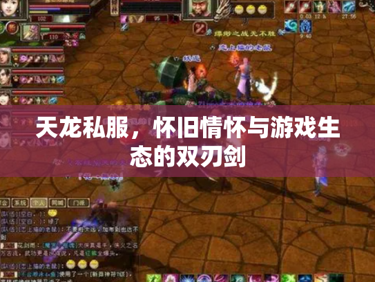 天龙私服，怀旧情怀与游戏生态的双刃剑
