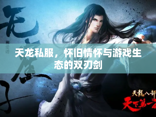 天龙私服，怀旧情怀与游戏生态的双刃剑
