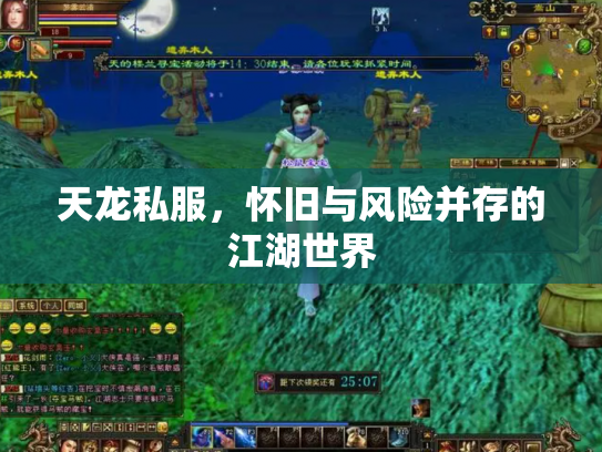 天龙私服，怀旧与风险并存的江湖世界