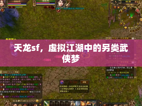 天龙sf，虚拟江湖中的另类武侠梦