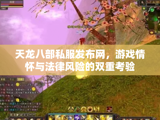 天龙八部私服发布网，游戏情怀与法律风险的双重考验
