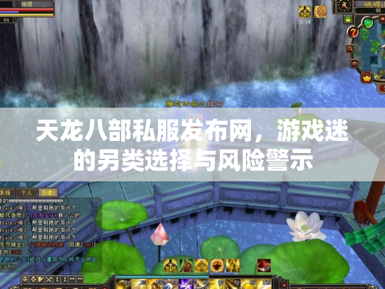 天龙八部私服发布网，游戏迷的另类选择与风险警示