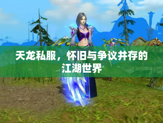 天龙私服，怀旧与争议并存的江湖世界