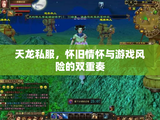 天龙私服，怀旧情怀与游戏风险的双重奏