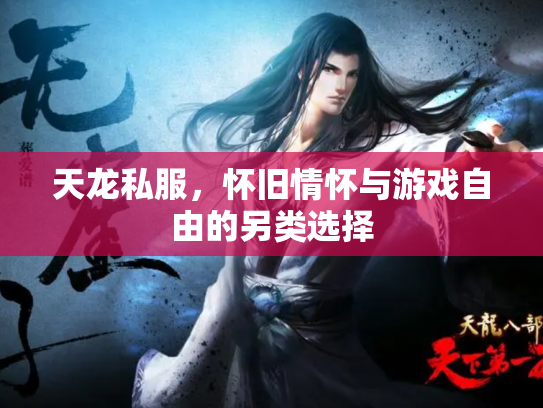 天龙私服，怀旧情怀与游戏自由的另类选择
