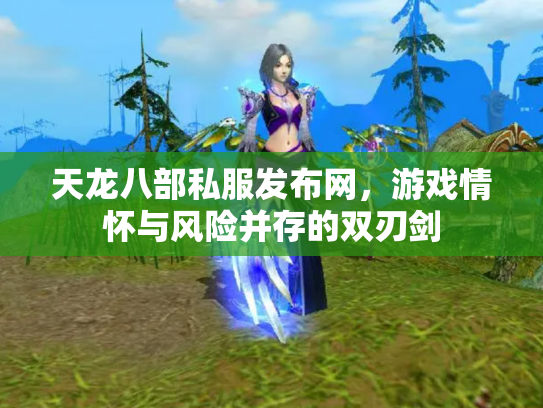 天龙八部私服发布网，游戏情怀与风险并存的双刃剑