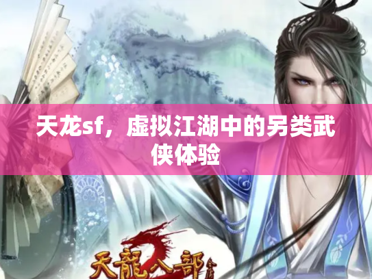 天龙sf，虚拟江湖中的另类武侠体验