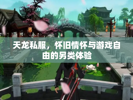天龙私服，怀旧情怀与游戏自由的另类体验