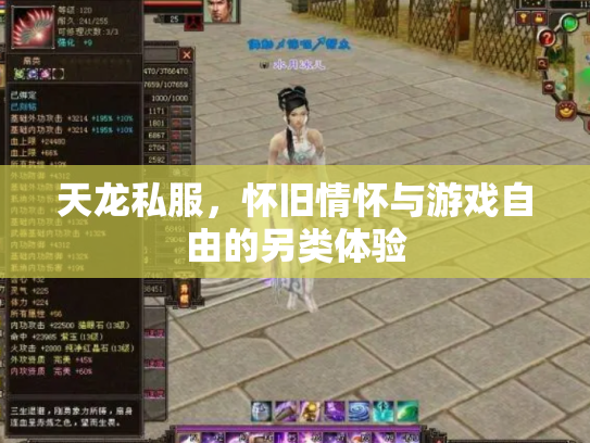 天龙私服，怀旧情怀与游戏自由的另类体验