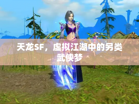 天龙SF，虚拟江湖中的另类武侠梦