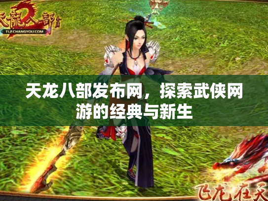 天龙八部发布网，探索武侠网游的经典与新生