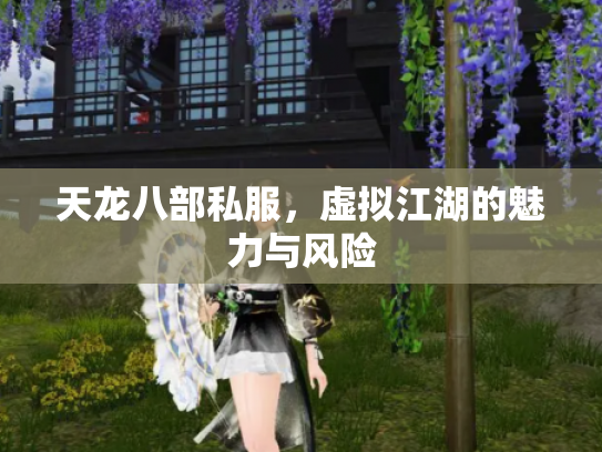 天龙八部私服，虚拟江湖的魅力与风险