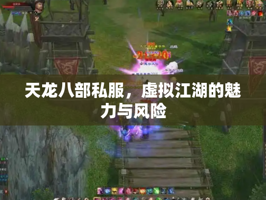 天龙八部私服，虚拟江湖的魅力与风险