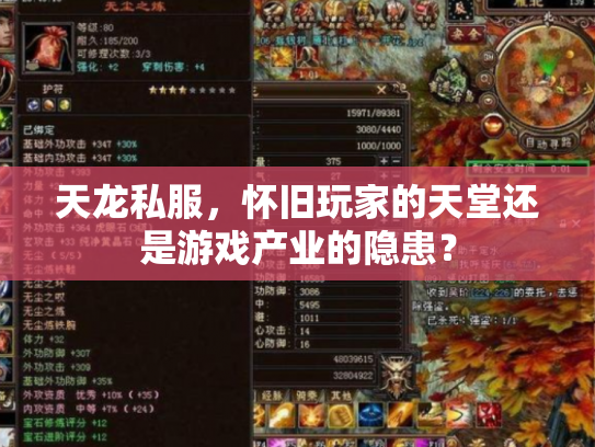天龙私服，怀旧玩家的天堂还是游戏产业的隐患？