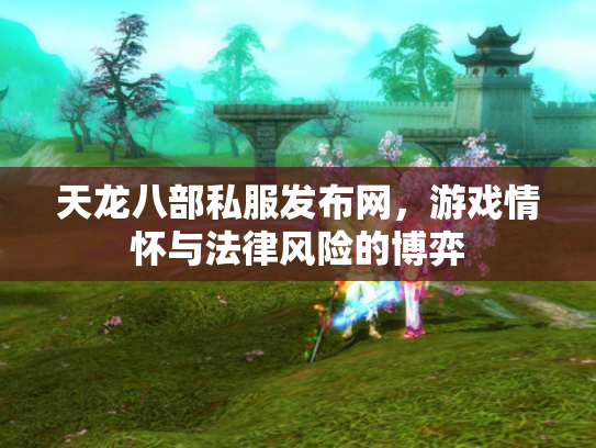 天龙八部私服发布网，游戏情怀与法律风险的博弈