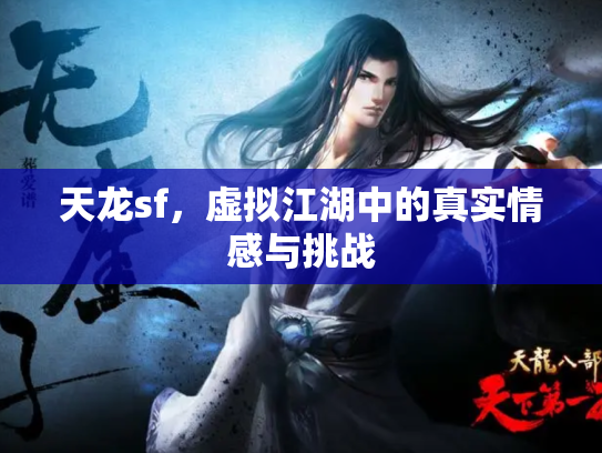天龙sf，虚拟江湖中的真实情感与挑战