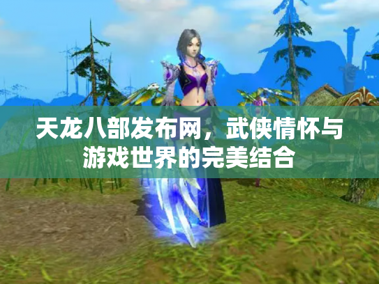 天龙八部发布网，武侠情怀与游戏世界的完美结合