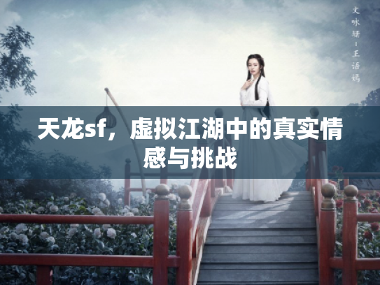 天龙sf，虚拟江湖中的真实情感与挑战