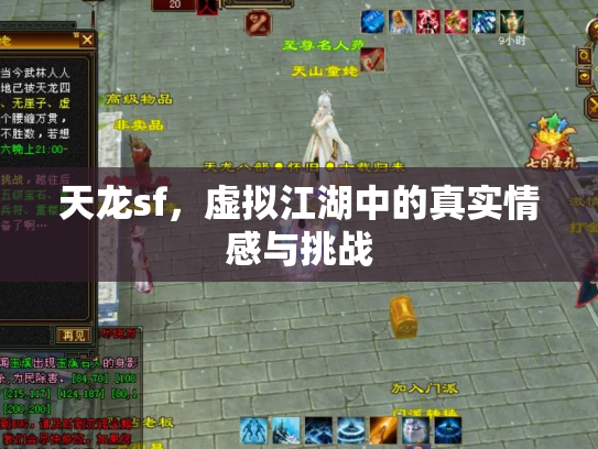 天龙sf，虚拟江湖中的真实情感与挑战