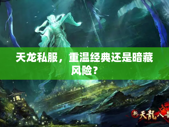 天龙私服，重温经典还是暗藏风险？