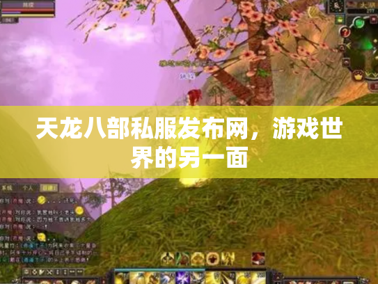 天龙八部私服发布网，游戏世界的另一面
