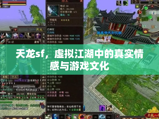 天龙sf，虚拟江湖中的真实情感与游戏文化