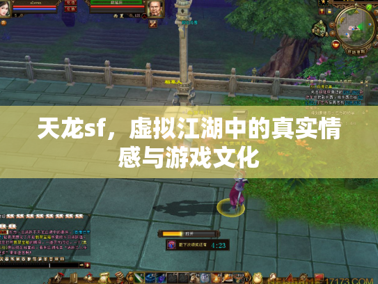 天龙sf，虚拟江湖中的真实情感与游戏文化