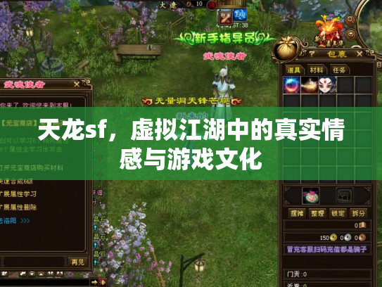 天龙sf，虚拟江湖中的真实情感与游戏文化