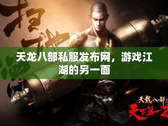 天龙八部私服发布网，游戏江湖的另一面