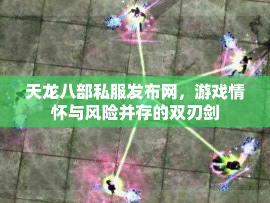 天龙八部私服发布网，游戏情怀与风险并存的双刃剑