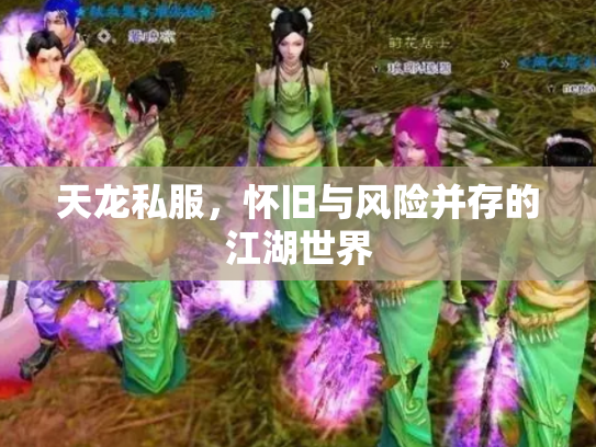 天龙私服，怀旧与风险并存的江湖世界