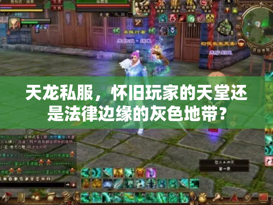 天龙私服，怀旧玩家的天堂还是法律边缘的灰色地带？