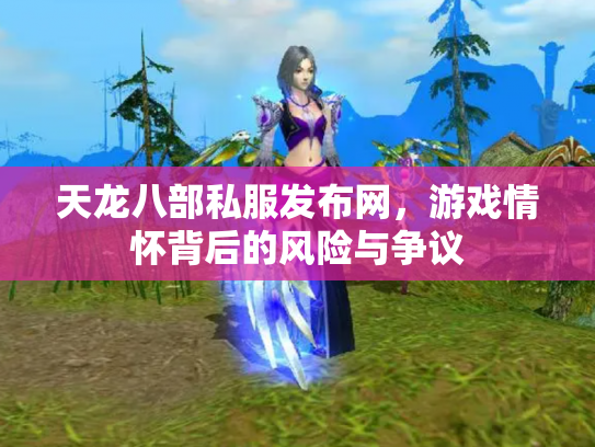 天龙八部私服发布网，游戏情怀背后的风险与争议
