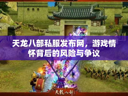 天龙八部私服发布网，游戏情怀背后的风险与争议
