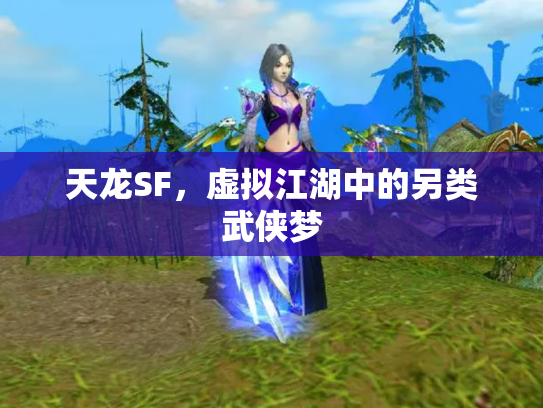 天龙SF，虚拟江湖中的另类武侠梦