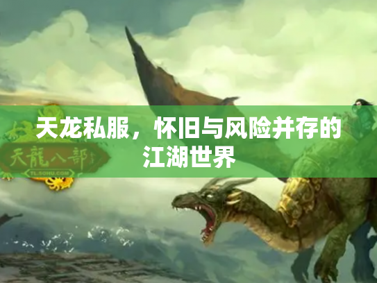 天龙私服，怀旧与风险并存的江湖世界
