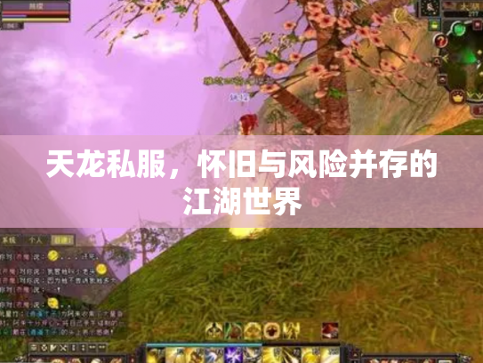 天龙私服，怀旧与风险并存的江湖世界