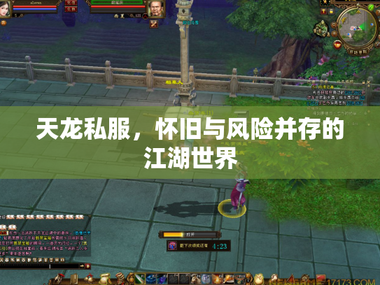 天龙私服，怀旧与风险并存的江湖世界