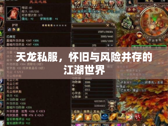 天龙私服，怀旧与风险并存的江湖世界
