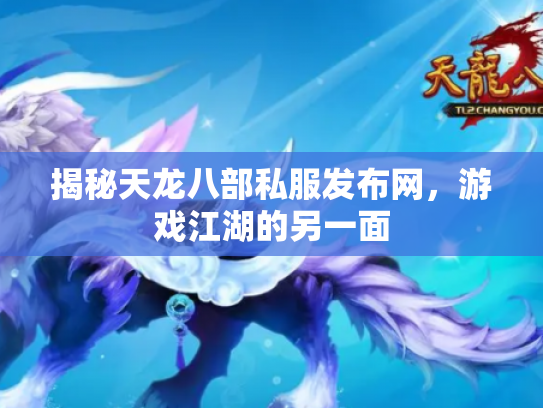 揭秘天龙八部私服发布网，游戏江湖的另一面