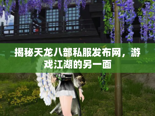 揭秘天龙八部私服发布网，游戏江湖的另一面